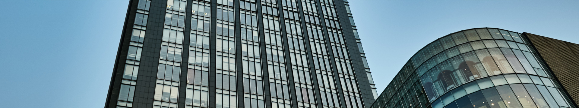 banner_01.jpg